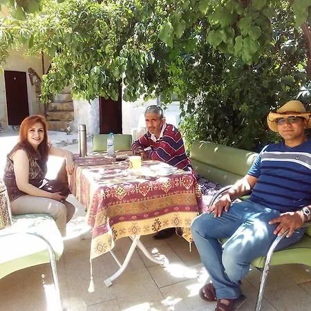 Hostel Dede &