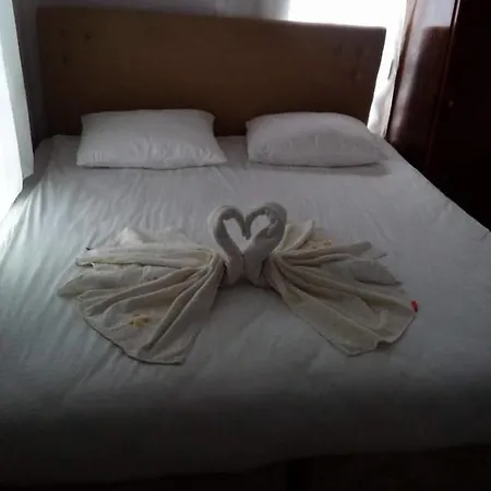 Hostel Dede &